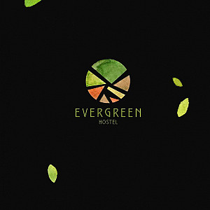 Наше портфолио - Логотип и фирменный стиль для &quot;Evergreen&quot;